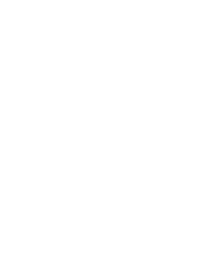 partnerships-icon